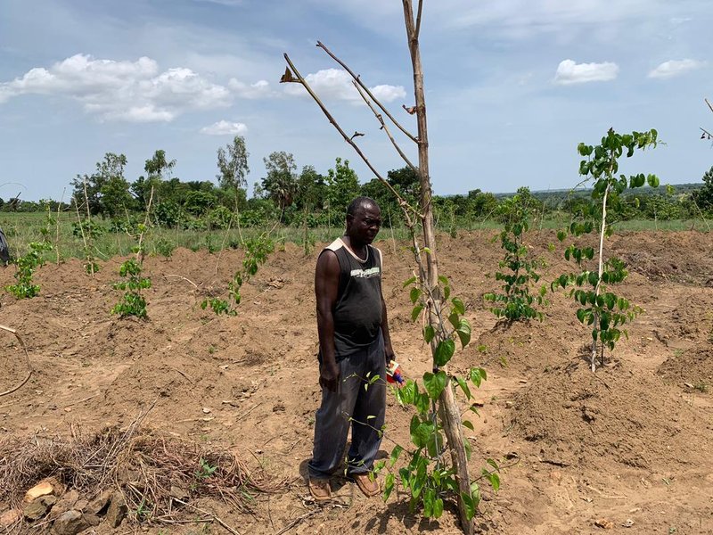 image2_IMG-20260311-WA0077